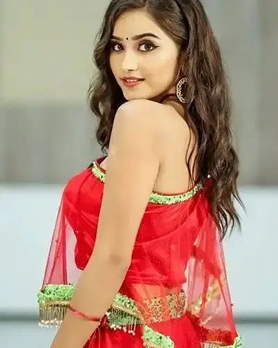 Call Girls Service Vanthali